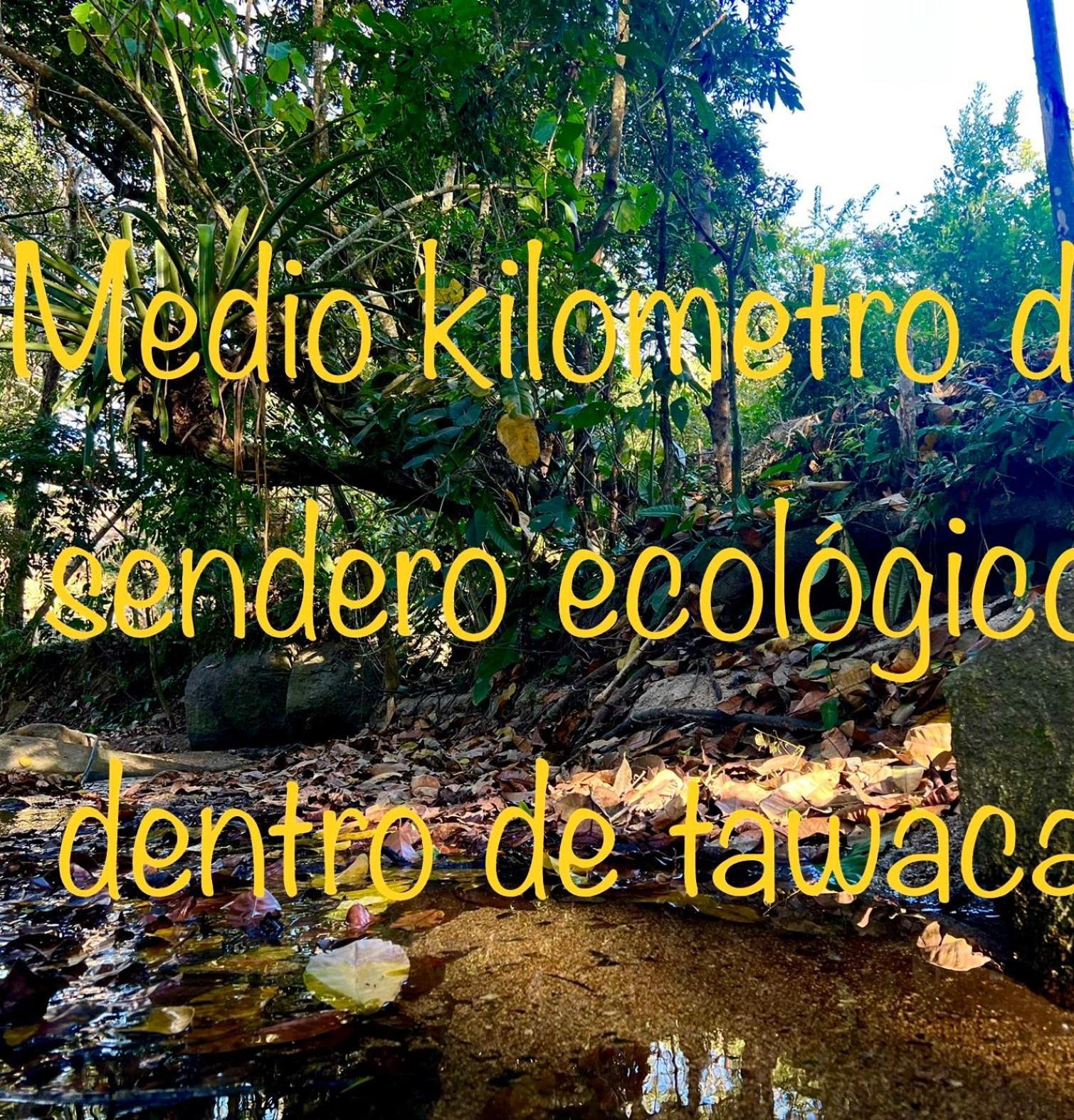 Tawaca Ecohotel Calabazo  Dış mekan fotoğraf